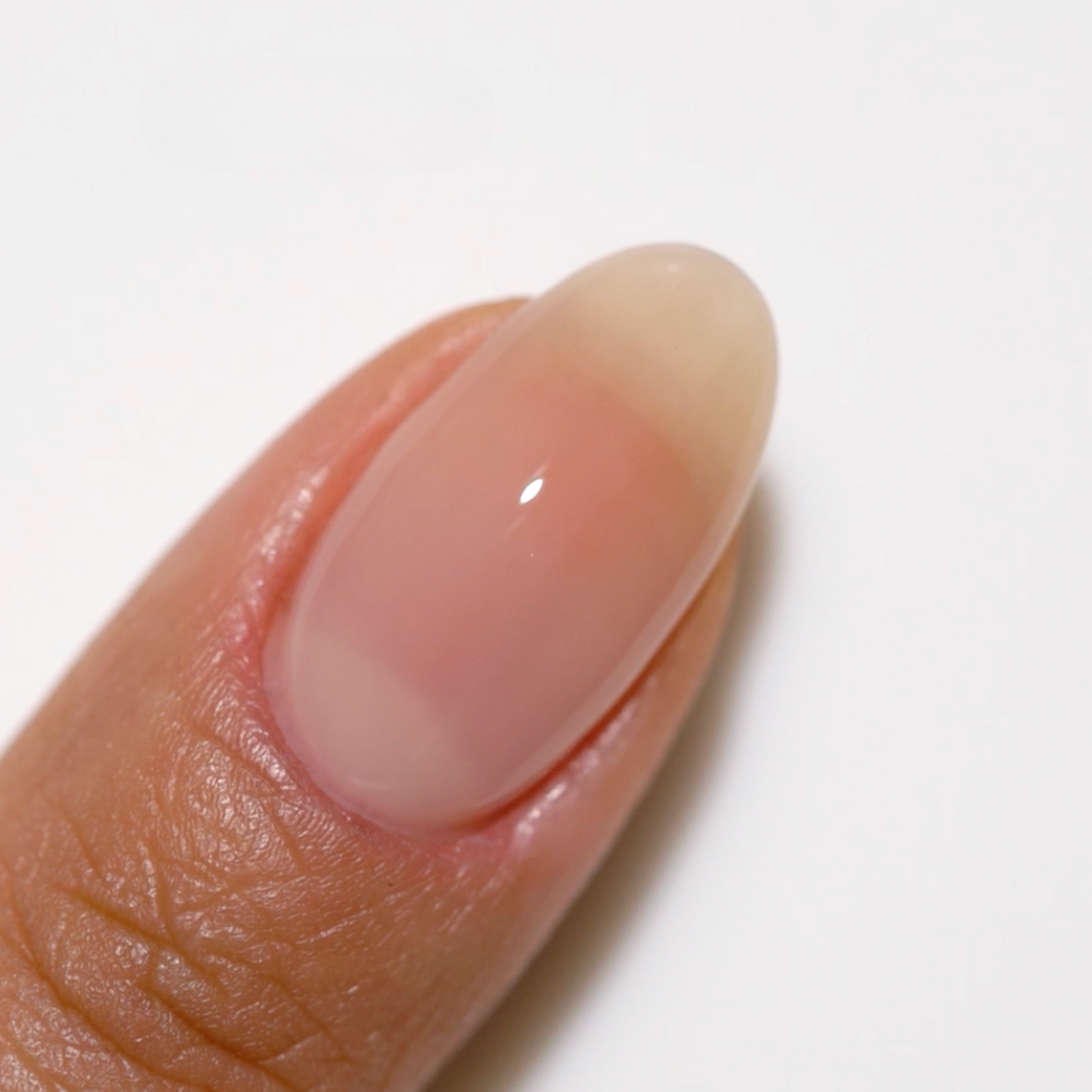 2 GEL COMBO - 2445 DND DC Be My Muse