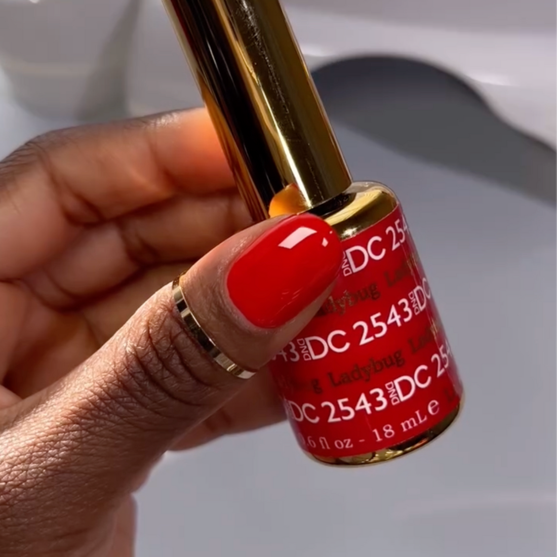 2 GEL COMBO - 2543 DND DC Ladybug