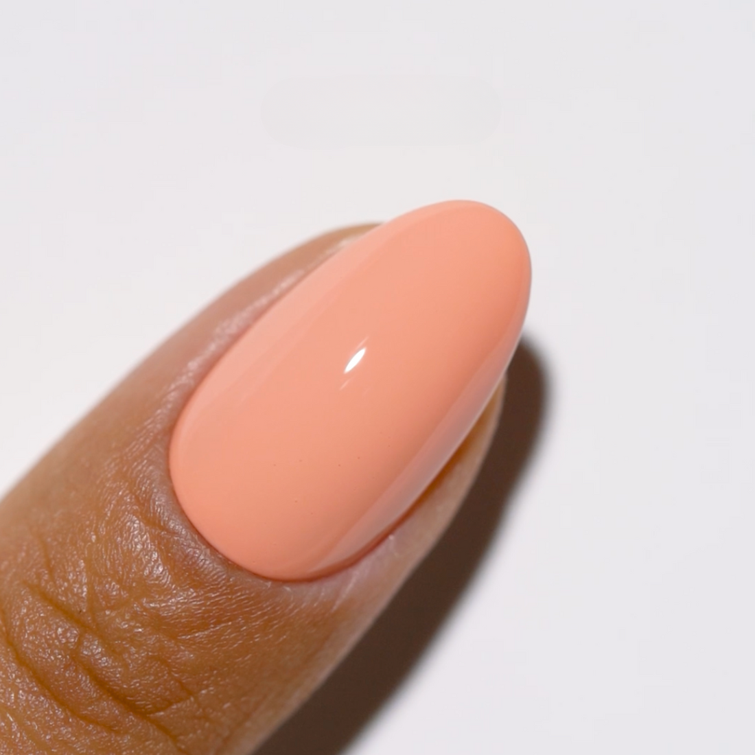 2 GEL COMBO - 305 DND DC Bon Appetit