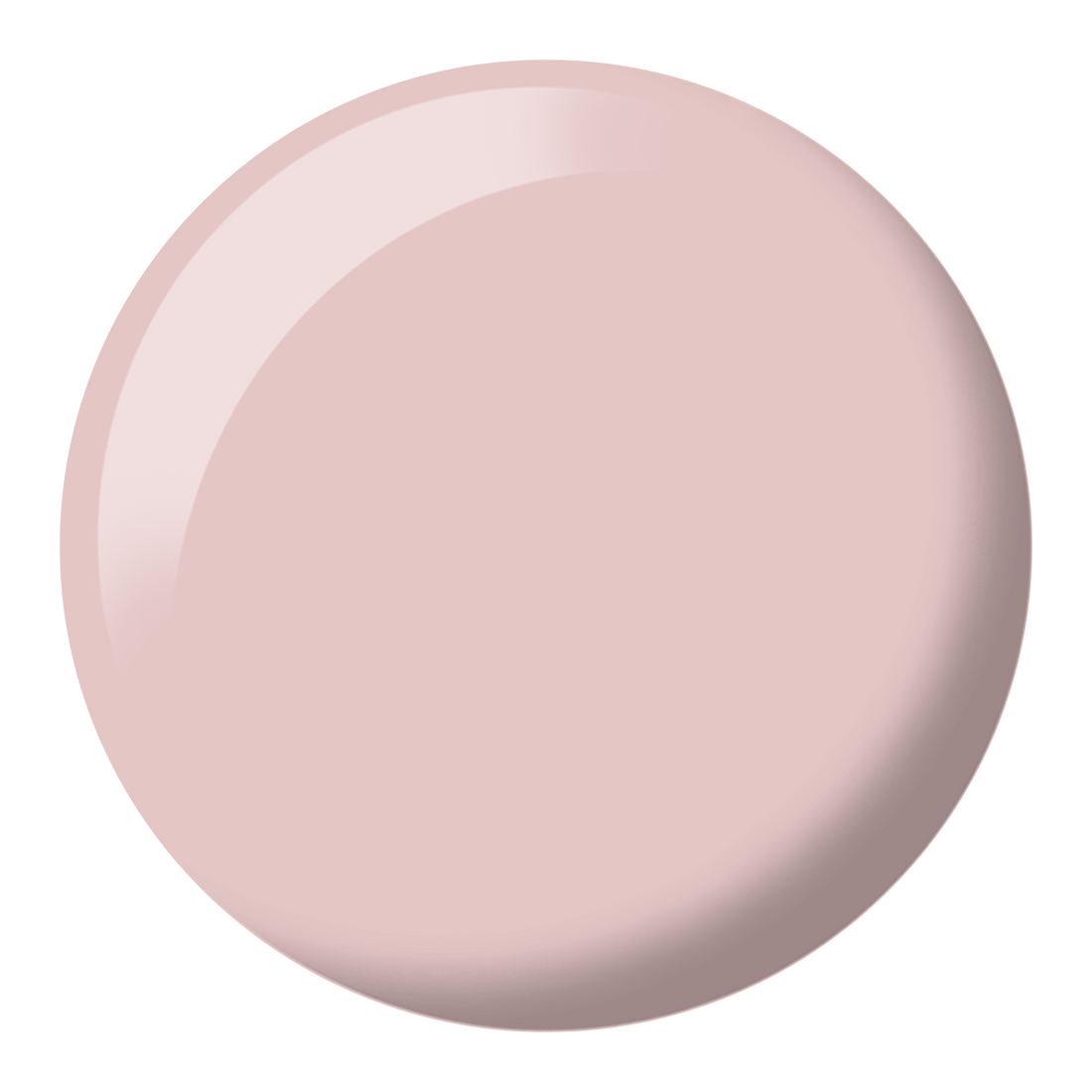 DND DIVA 063 SHORTBREAD