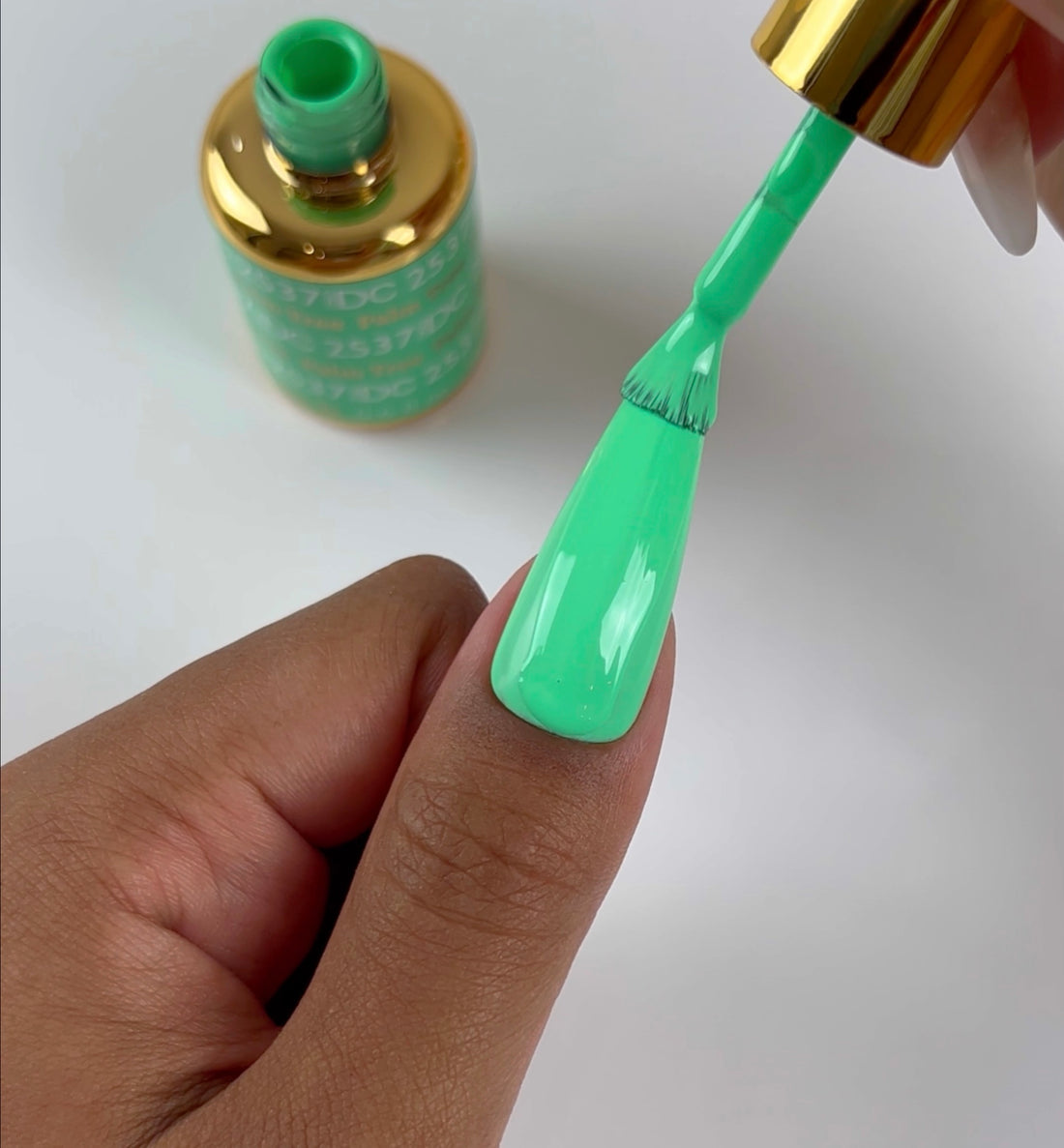 2 GEL COMBO - 2537 DND DC Palm Tree