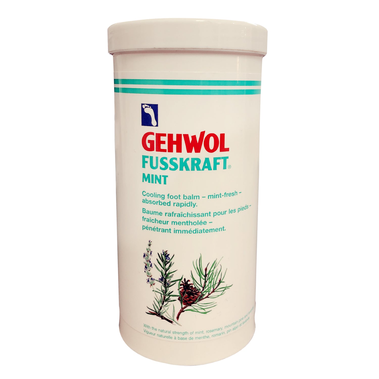Gehwol Fusskraft Mint 450ml - Secret Nail & Beauty Supply